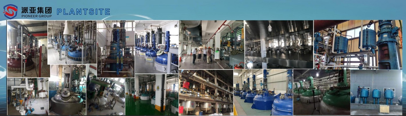 Fig-9 PLANTSITE